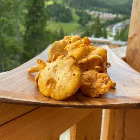 Skihuette Chalet Lachtal