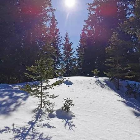 Chalet Skihuette *