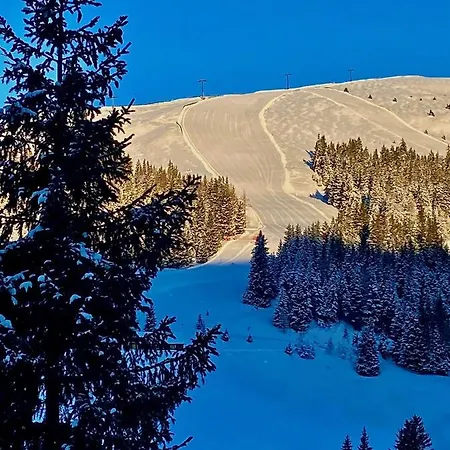 Skihuette Chalet *