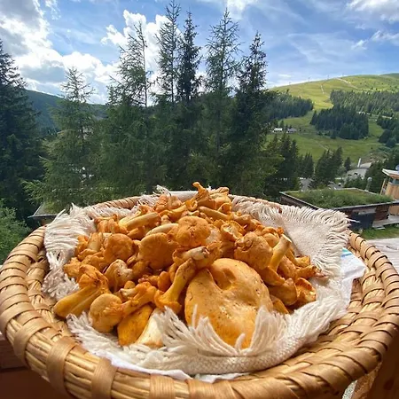 Skihuette * Lachtal