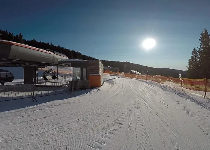 Skihuette Chalet Lachtal