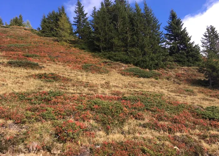 Skihuette Domek alpejski *