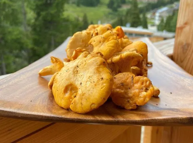 Skihuette Chalet Lachtal