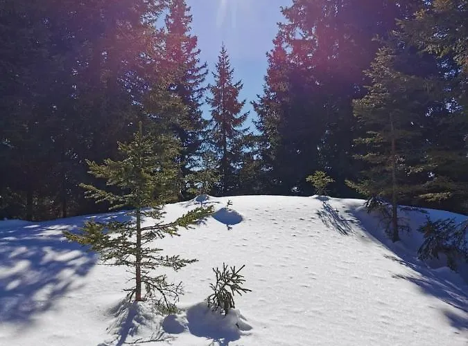 Domek alpejski Skihuette *