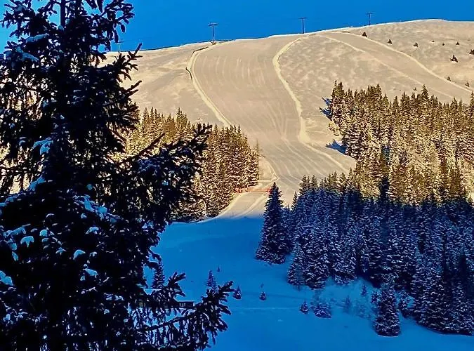 Skihuette Domek alpejski *
